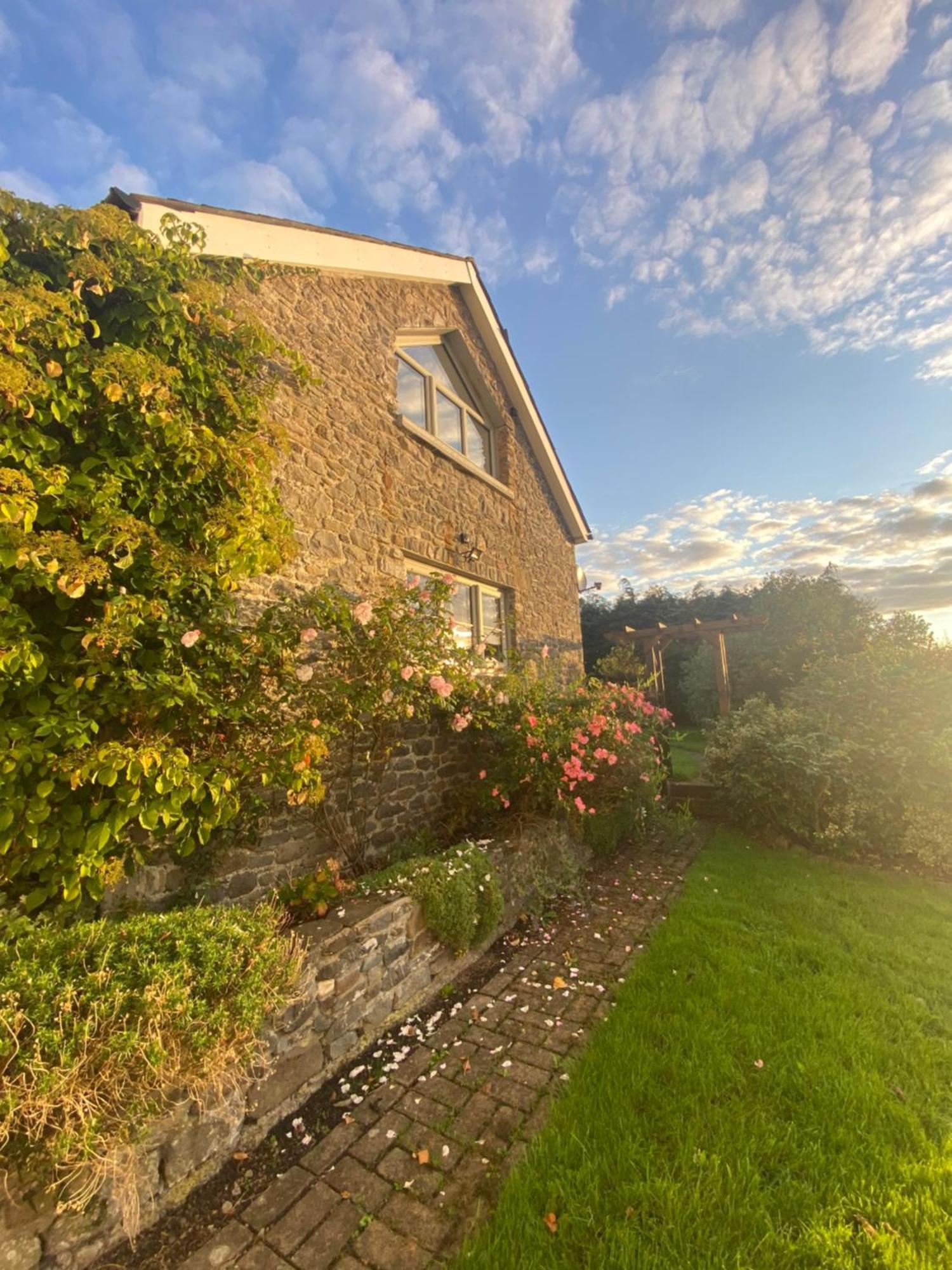 Pippin Lodge Llanwrda Ngoại thất bức ảnh