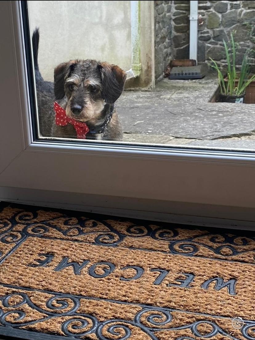 Pippin Lodge Llanwrda Ngoại thất bức ảnh