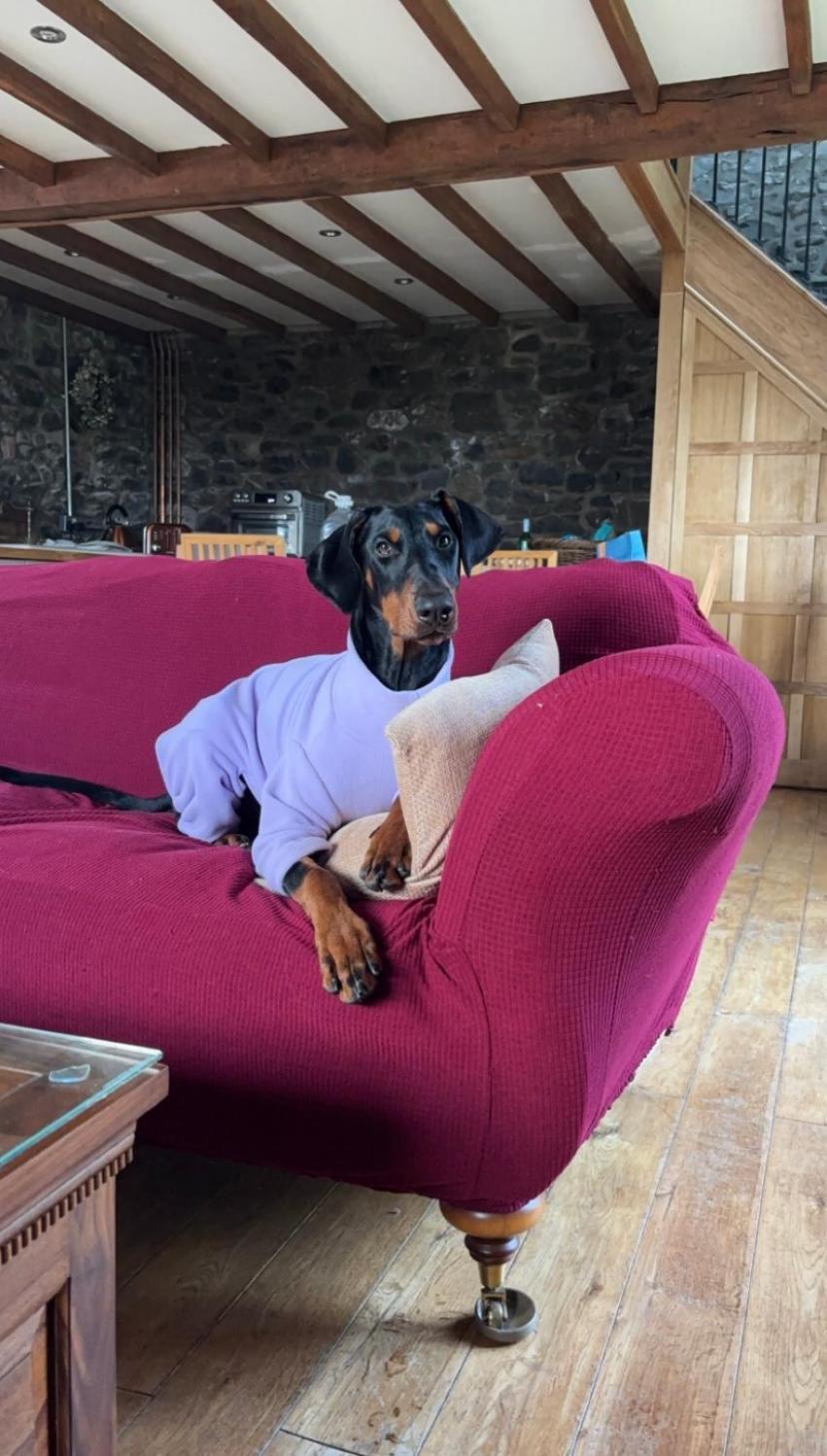 Pippin Lodge Llanwrda Ngoại thất bức ảnh